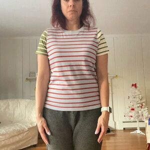 Madewell Striped Colorblock Tee